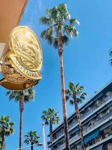 Cécile Perez notaire